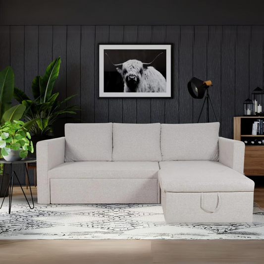 Feltro Sofa Cum Bed In Dark Grey