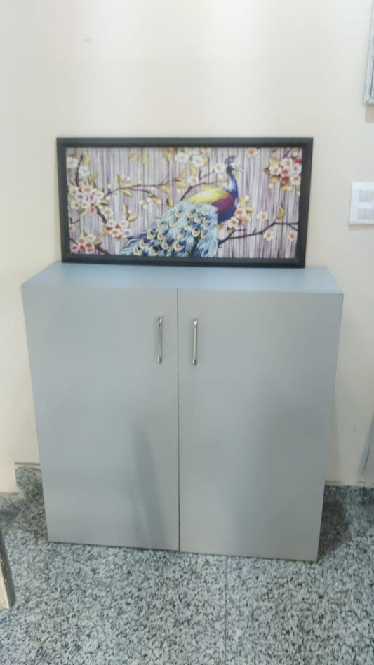 Brandon Shoe Cabinet in 2 Door