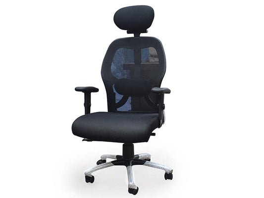 Matrix Executive Chair with Adjustable Armrests
