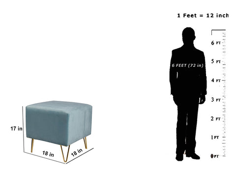 Anslay Ottoman With Golden Legs