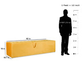 Boston Upholstered Bench Cum Ottoman in Storage