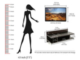 Reynold Wall TV Unit (Standard, Wenge)
