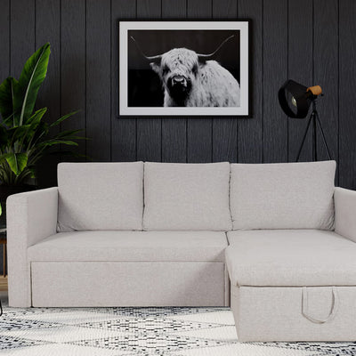 Feltro Sofa Cum Bed In Dark Grey