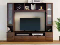 Webster TV Entertainment Unit