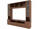 Webster TV Entertainment Unit