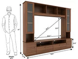 Webster TV Entertainment Unit