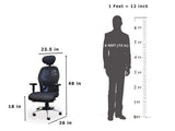 Roswell Study Table With office Chair (Combo Offer) Chair